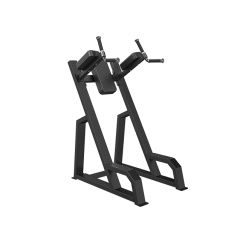 Svensson Industrial E3047 Matte Black из каталога стоек турник брусья-пресс в Ростове-на-Дону по цене 39950 ₽