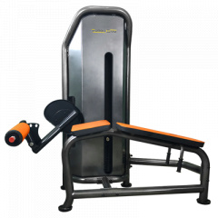 TurboGym Titan  бицепс бедра - фото 1