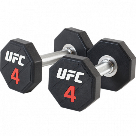 Рендер-0 для UFC 4 кг.