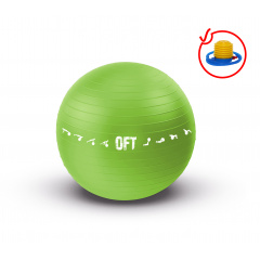 Original FitTools 65 см. с насосом зеленый FT-GBPRO-65GN из каталога фитболов  в Ростове-на-Дону по цене 1450 ₽