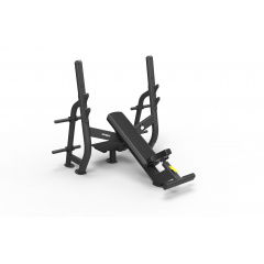 Spirit SP-4210 с отрицательным наклоном из каталога скамей со стойкой в Ростове-на-Дону по цене 221600 ₽