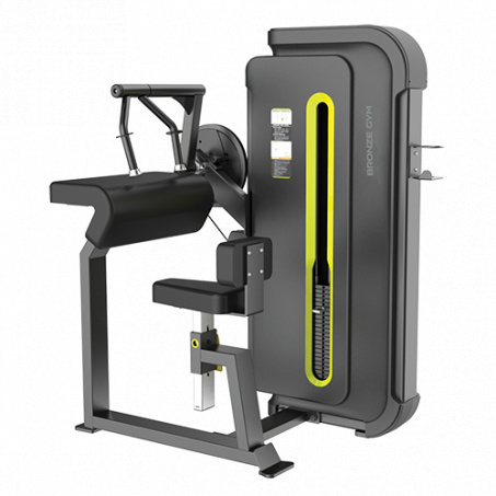 Рендер-0 для Bronze Gym BW-3027 Разгибание рук сидя (прямая поверхность)