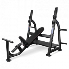 Bronze Gym BR-1014 наклонная из каталога скамей со стойкой в Ростове-на-Дону по цене 120990 ₽