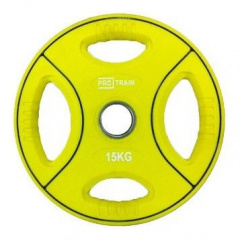 Protrain DB6092-15 (д=50 мм) из каталога дисков для штанги с посадочным диаметром 50 мм. в Ростове-на-Дону по цене 7980 ₽