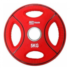 Protrain DB6092-5 (д=50 мм) из каталога дисков для штанги с посадочным диаметром 50 мм. в Ростове-на-Дону по цене 2660 ₽