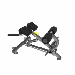 UltraGym UG-KJ1258 из каталога гиперэкстензий в Ростове-на-Дону по цене 71738 ₽