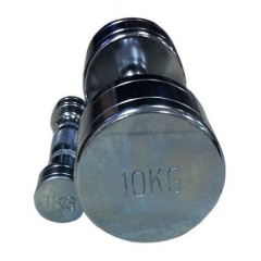 Protrain 1-10 кг DB3002 из каталога гантельных рядов в Ростове-на-Дону по цене 64790 ₽