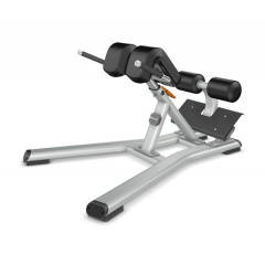 Precor Discovery Line DBR312 из каталога гиперэкстензий в Ростове-на-Дону по цене 268000 ₽