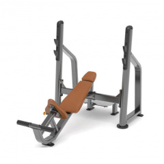 AnyFit PEB102 с положительным углом наклона из каталога скамей со стойкой в Ростове-на-Дону по цене 156750 ₽