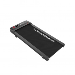 Koenigsmann PAD2 из каталога беговых дорожек в Ростове-на-Дону по цене 30600 ₽