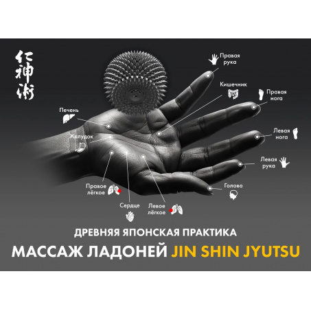 Рендер-20 для Fujimo Guru2 F800 Коричневый