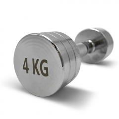 UnixFit PRO круглая 4 кг DBRND4PCE из каталога хромированных гантелей в Ростове-на-Дону по цене 1870 ₽