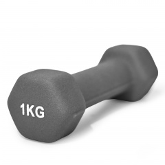 UnixFit 1 кг Grey DBNEO1GY из каталога неопреновых  гантелей в Ростове-на-Дону по цене 510 ₽