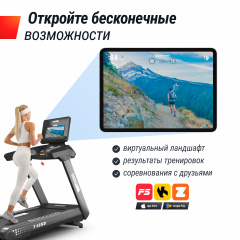 13 слайд галлереи