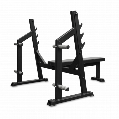 Рендер-1 для Bronze Gym Partner AL-304L со стойками