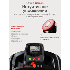 7 слайд галлереи