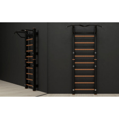 Steel Wood Compact в Ростове-на-Дону по цене 127500 ₽ в категории деревянные шведские стенки Uno Estetico