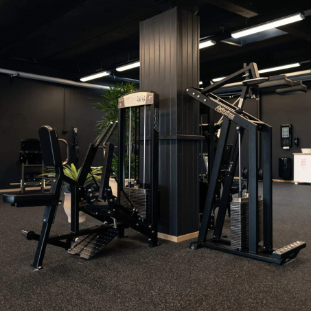 Рендер-2 для Gymleco 310 Гребная тяга
