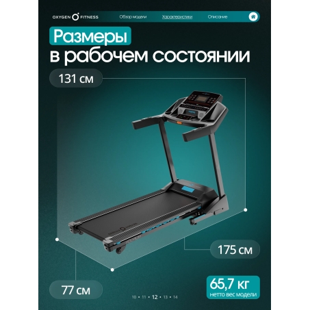 13 слайд галлереи