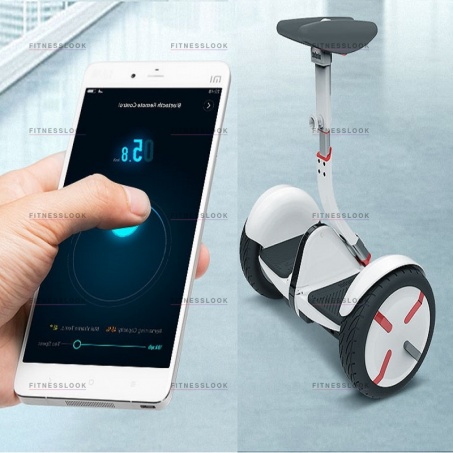 Рендер-1 для Xiaomi 10.5'' Ninebot Mini Pro Europe Edition