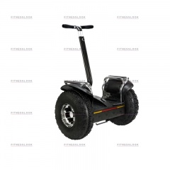 EcoDrift 19