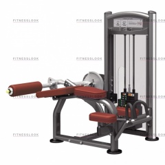 AeroFit IT9321 - сгибание ног лежа из каталога грузоблочных тренажеров в Ростове-на-Дону по цене 162950 ₽