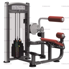 AeroFit IT9332 - разгибание спины из каталога грузоблочных тренажеров в Ростове-на-Дону по цене 205200 ₽