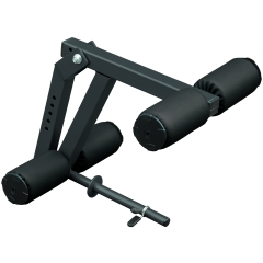 AeroFit IFLEGA из каталога опций к тренажеру в Ростове-на-Дону по цене 13300 ₽