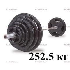 Body Solid 252,5 кг OSRK252.5 из каталога штанг в Ростове-на-Дону по цене 129780 ₽