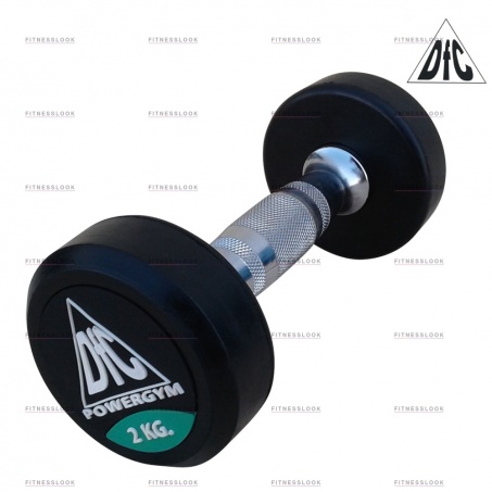 Рендер-0 для DFC PowerGym пара - 2 кг