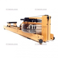Natural в Ростове-на-Дону по цене 223150 ₽ в категории гребные тренажеры Waterrower