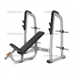 Precor DBR410 - со стойками из каталога скамей со стойкой в Ростове-на-Дону по цене 138130 ₽
