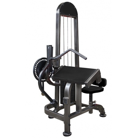 Рендер-0 для ProfiGym ТГ-0080-C - бицепс-трицепс машина