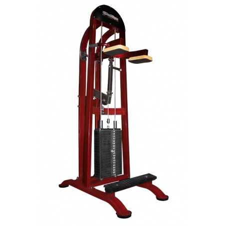 Рендер-0 для ProfiGym ТГ-0220-C - голень-машина стоя